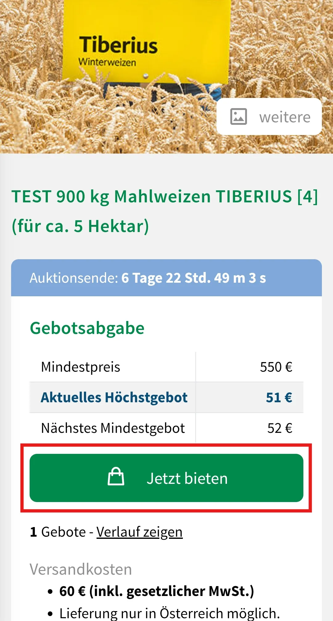 wie-kann-ich-ein-gebot-abgeben_mobil+desktop.jpg