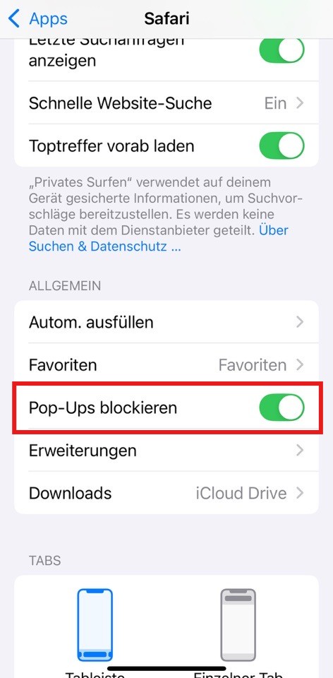 pdf-in-safari-öffnen.jpg